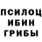Галлюциногенные грибы прущие грибы DEZEKER08